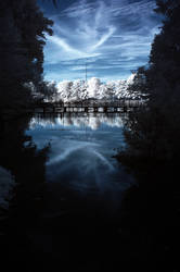 Fair Lake Reflection IR