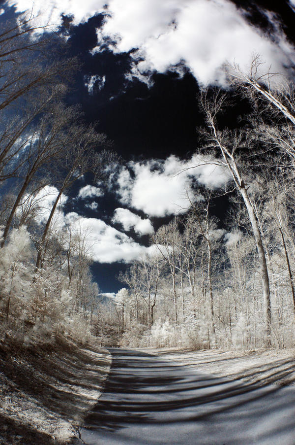 Infrared Fisheye V