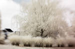 Infrared Lensbaby I by LDFranklin