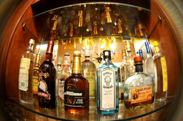 Fisheye Liquor Bottles by LDFranklin