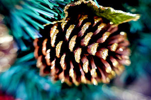 Gold Glitter Pinecone