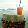 Castaway Cay 13 XLIII