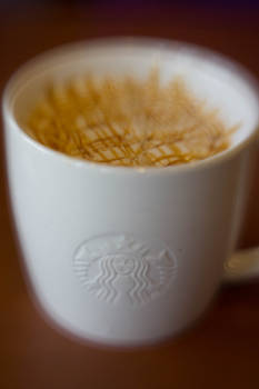 Lensbaby Starbucks III