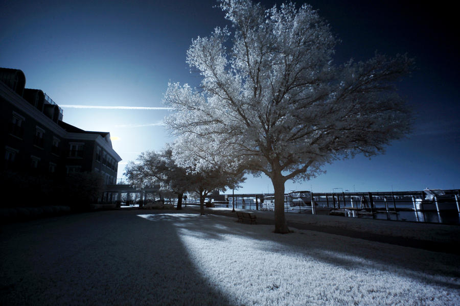 New Bern IR VIII by LDFranklin New Bern IR VIII by LDFranklin