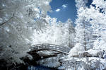Duke Gardens IR V