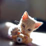 Baby Jonesy Lensbaby X