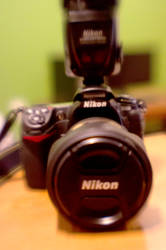 Nikon D300 Plastic by LDFranklin