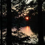 Sunsetting Behind Trees 2