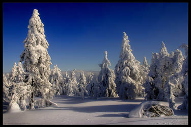 colours of winter