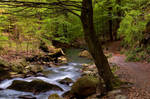 ilsetal at Harz by stg123