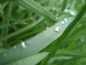 A Raindrop