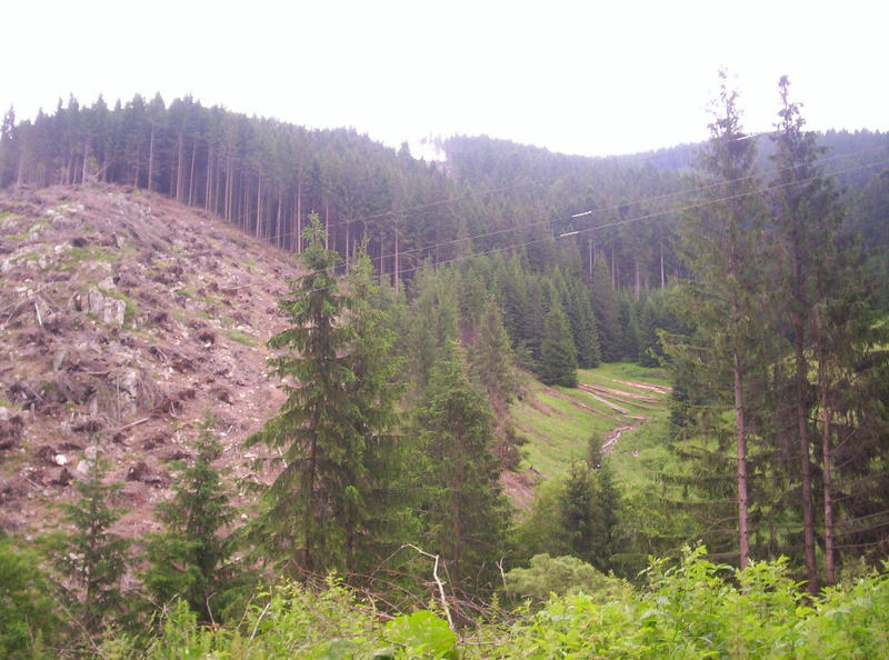 Which side is better? by NoTimeInPresent on DeviantArt