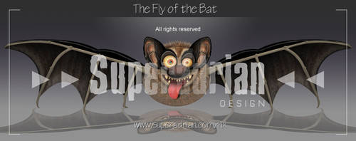 The Fly of the Bat