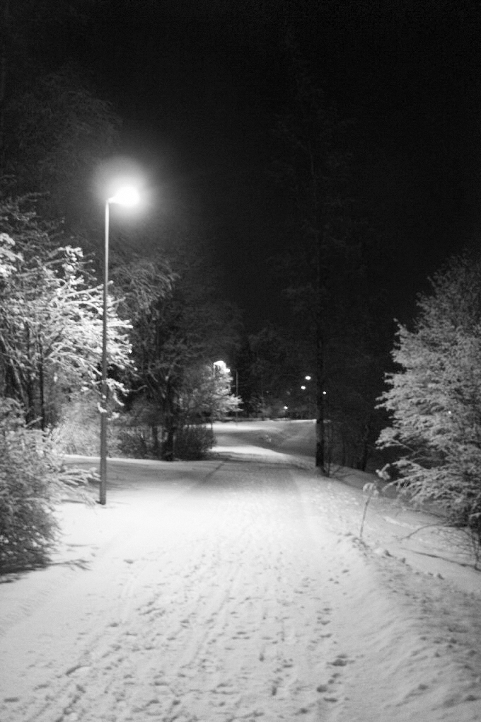 winter night