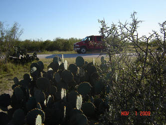 West Texas