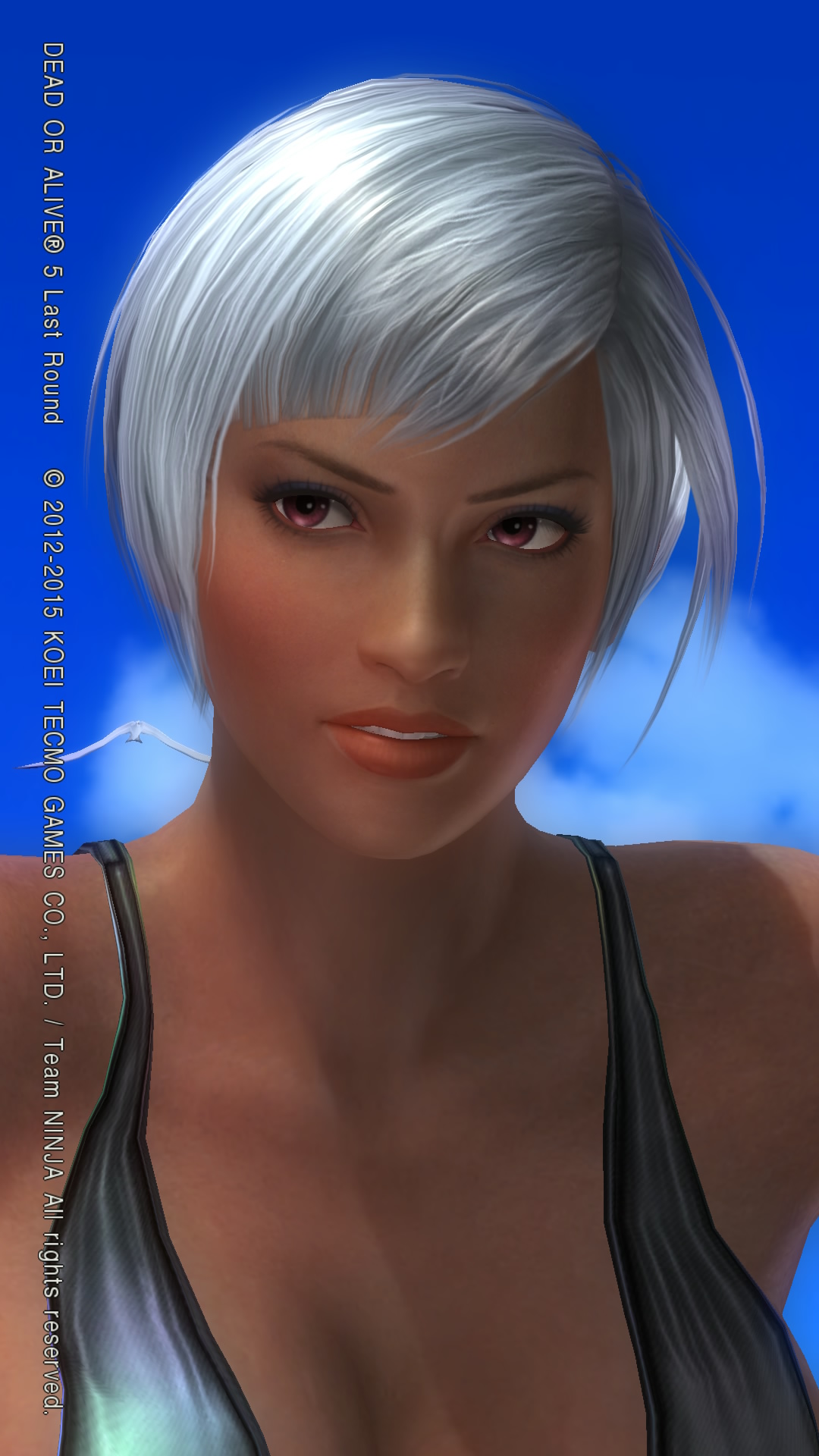 DEAD OR ALIVE 5 Last Round  Lisa19