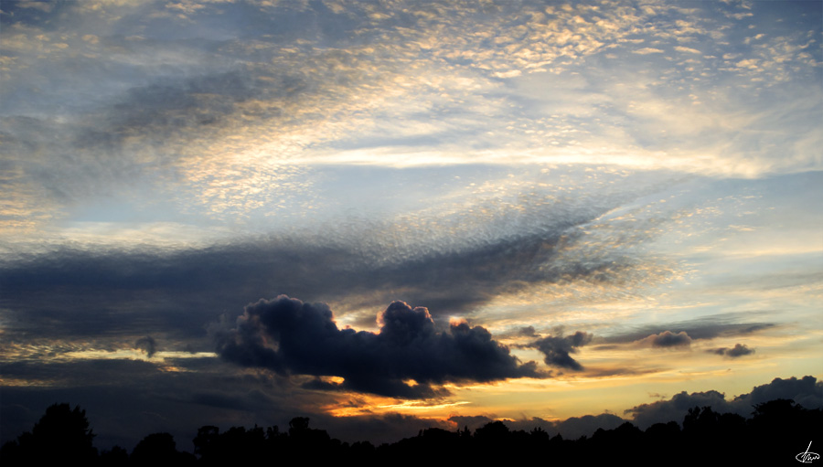 Golden Dusk