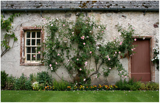 flowery wall