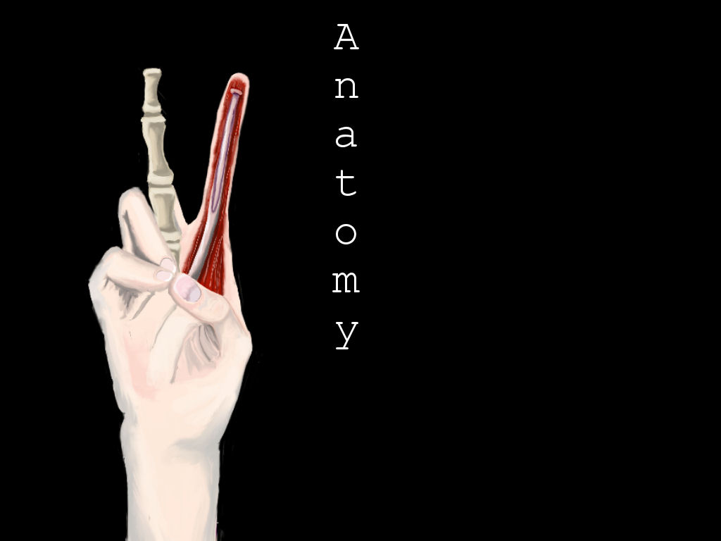 Anatomy