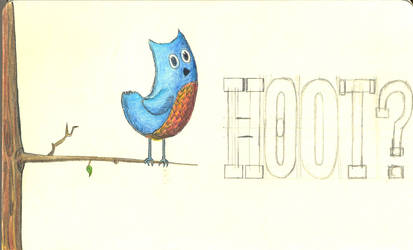 blue hoot