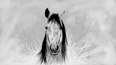 Horsey Sketch 2