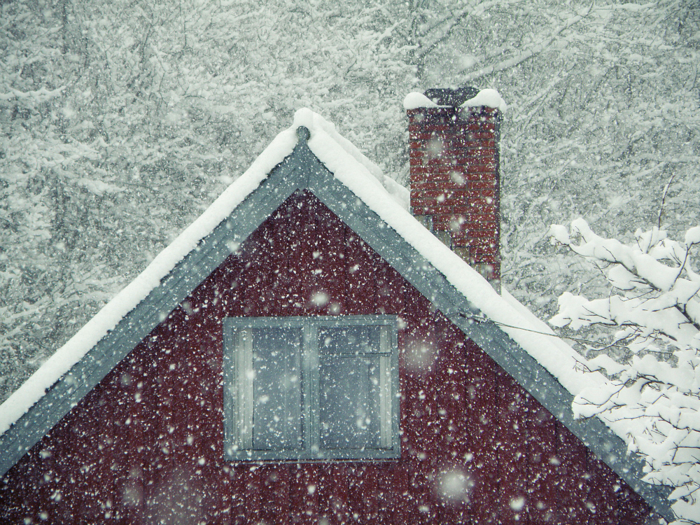 Snow in January I