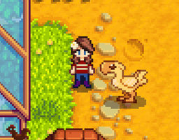 [StarDew Valley Mod] Ride-able Chocobo FF14 Style!