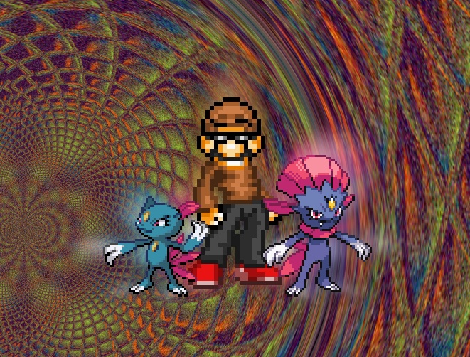 The Salesman's Pokemon Team