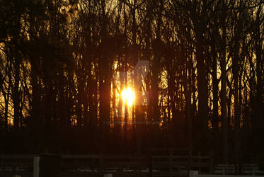 sunset silhouette