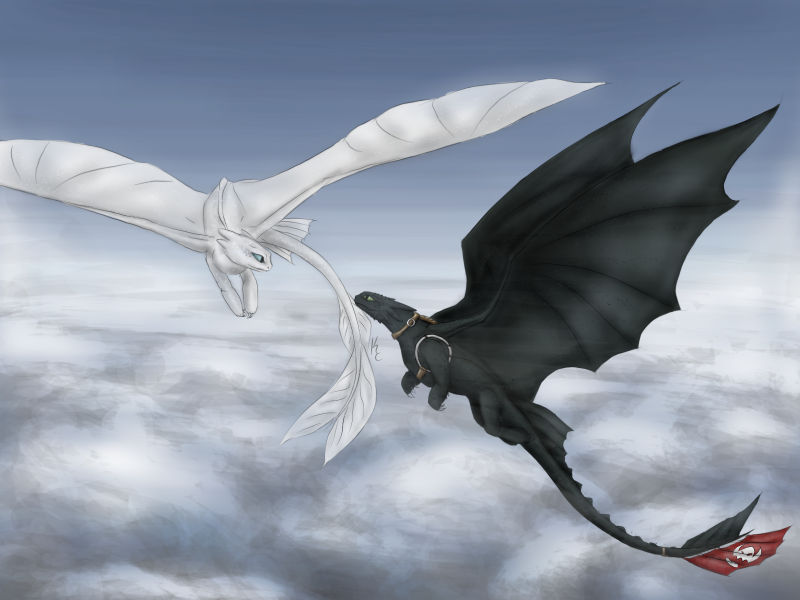 Light Fury and Night Fury by shirekat21 on DeviantArt
