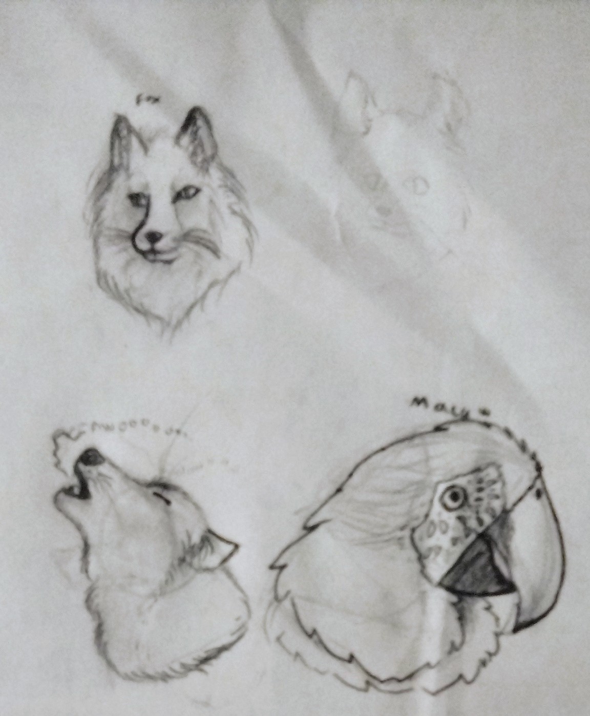 Realistic animals drawing attempt. by NeonBirb on DeviantArt Realistic animals drawing attempt. by NeonBirb on DeviantArt
