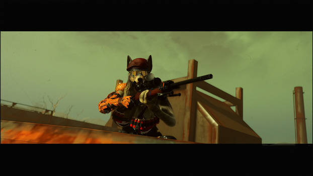 Wolf Sniper