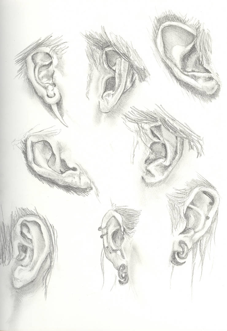 ear study by Madirakshi on DeviantArt