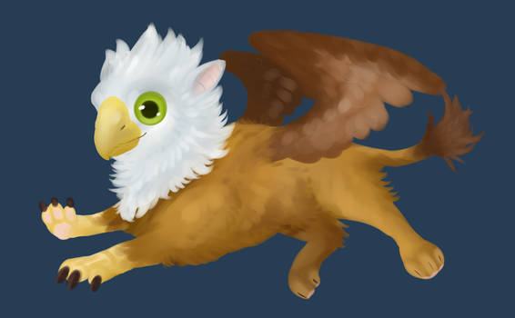 Baby Gryphon