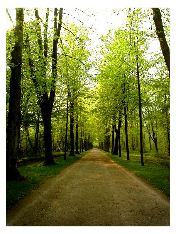 Park No.01 by samlu on DeviantArt