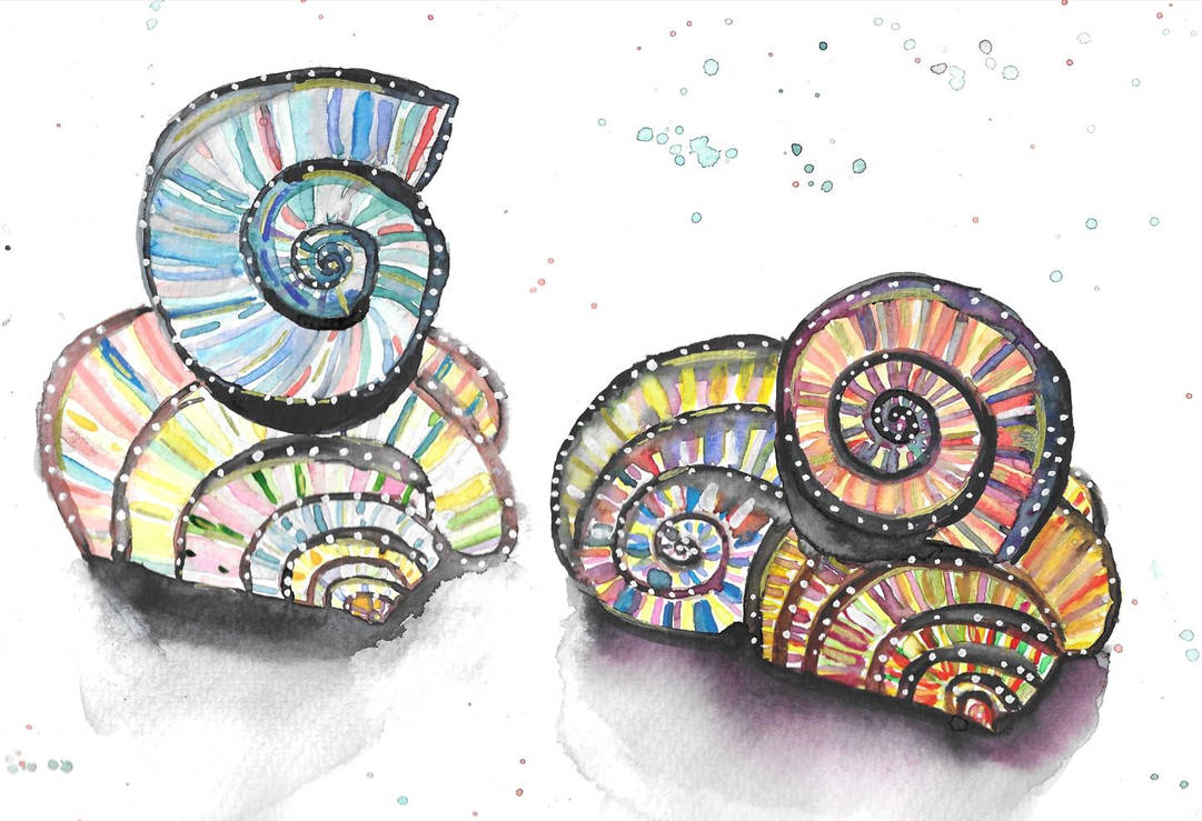 Colourful Shells by Bubble171290 on DeviantArt