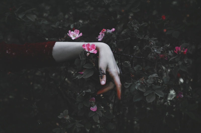 Thorns By Nataliadrepina-da8vt22