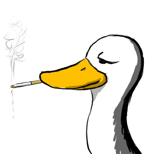 i cos cigarette Smoking duck #duck #painting #oilpainting #smoking Funny Duck Smoking Bad Boy