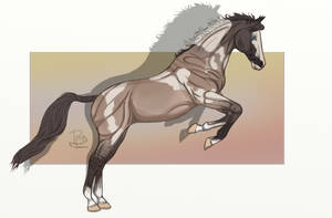 horse jump  colour Painting