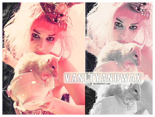 Emilie Autumn Teacup Ratty ID