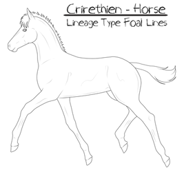 Crirethien-Horse Lineage Type Foal Lines