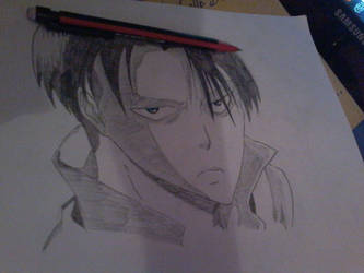 Levi