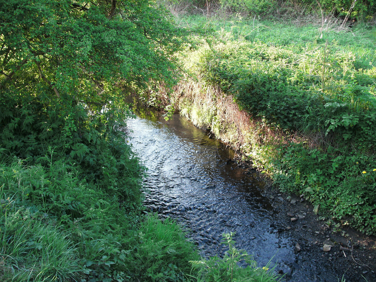 Running Stream Views Running Stream by PaulWaggers on DeviantArt