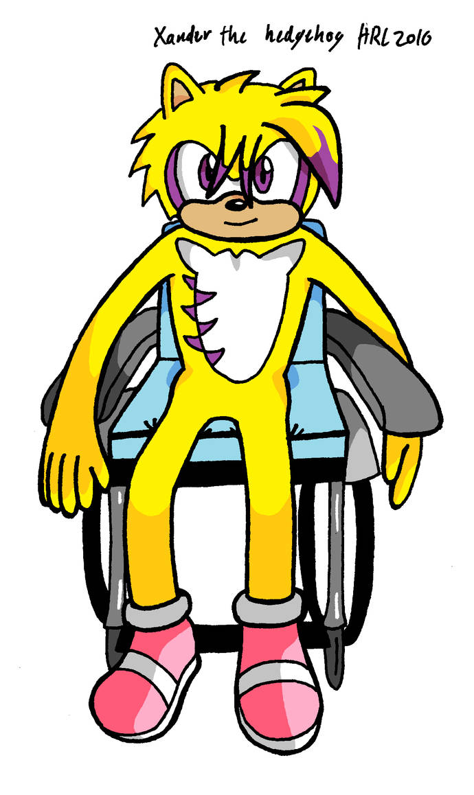 Xander the hedgehog by MightyRay on DeviantArt