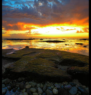 Lunada Bay Sunrise 1