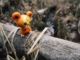 Teddiursa