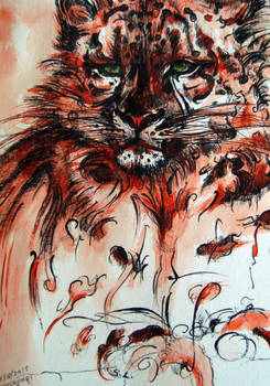 the red Snow Leopard