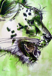 the green Snow Leopard