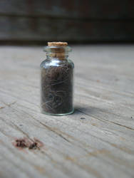 Musk Ox Fur Curiousity Vial / Totem Charm