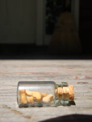 Fox Toe Bones Curiousity Vial / Totem Charm